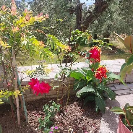 아파트 Dalila Studio Free Parking And 3 Minutes Far Away From Sea